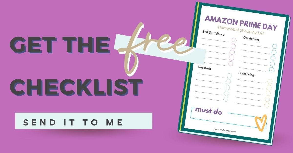 PRIME EARLY ACCESS DAY HOMESTEADING DEALS, Wandering Hoof Ranch